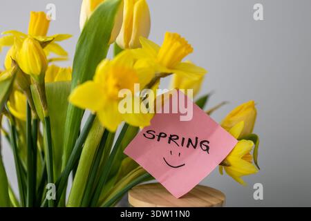 cheerful bouquet of yellow daffodils and tulips placed next to a pink sticky note with a smiley face and the word “SPRING” written on it Stock Photo