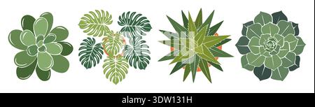 Set of succulents, monstera, and aloe plants Stock Vector