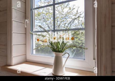 Spring daffodils in white ceramic jug on wooden windowsill with soft natural light interior Stock Photo