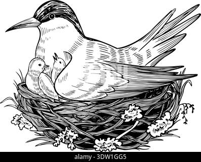 Arctic seabird vector in nest with eggs and chicks, hand drawn engraving style. Etching of tundra tern painted by black inks for north nature themes. Linear illustration on isolated background. Stock Vector