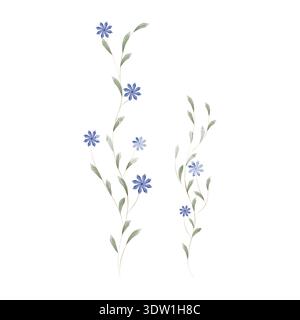 Two elegant watercolor botanical illustrations display delicate blue flowers blooming on slender green stems. Stock Vector