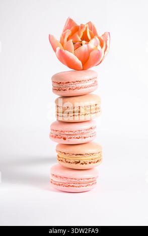 Pile of beige macaroons and tulip isolated on white background, photo aesthetics. Stock Photo