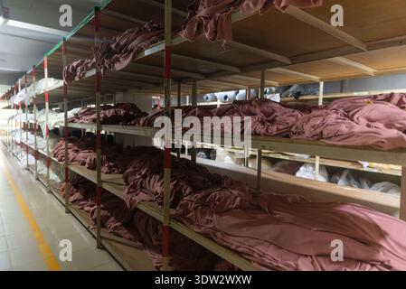 High-quality image of raw meat carcasses stored in a clean, organized industrial cold storage room with bright lighting and stainless steel racks. Stock Photo