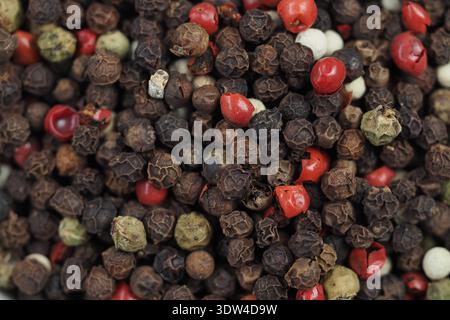 Black, White, Green and Pink Peppercorn Spice Blend for Cooking Stock Photo