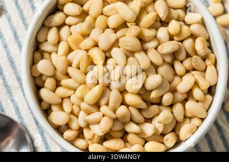 Raw White Organic Pine Nuts in a Bowl Stock Photo