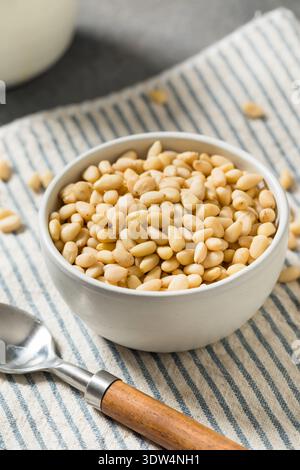 Raw White Organic Pine Nuts in a Bowl Stock Photo