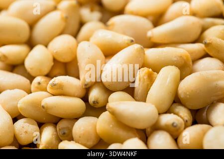 Raw White Organic Pine Nuts in a Bowl Stock Photo