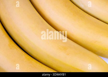 Freshly harvested bananas arranged neatly on market stand shelf. Colorful bananas displayed attractively in welllit market emphasizing freshness Stock Photo