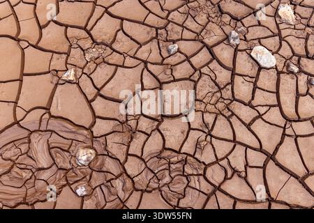Dried mud mosaic of polygon cracks and clay ridges, abstract arid surface pattern with sunbaked earth and pale pebbles evoking thirst, climate change. Stock Photo