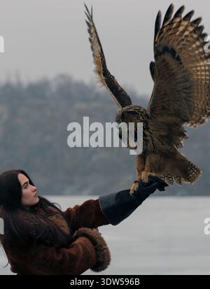 Young woman in fur coat training eurasian eagle owl outdoors. Large bird of prey spreading wings on leather gauntlet. Winter forest and lake backgroun Stock Photo