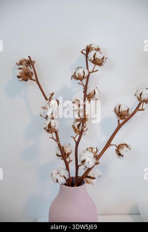 Cotton flower branches in ceramic vase on white background interior decor Stock Photo