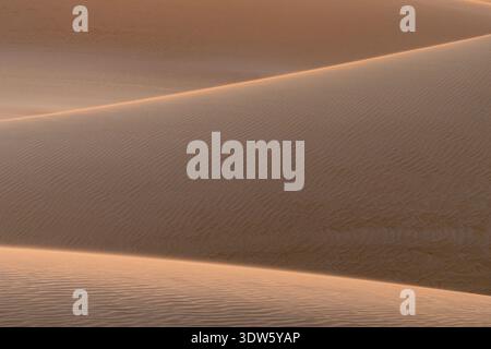 View of endless, undulating sand dunes bask in the warm glow of the setting sun, casting soft shadows across the rippled surface, Da'ira, Socotra, Yem Stock Photo