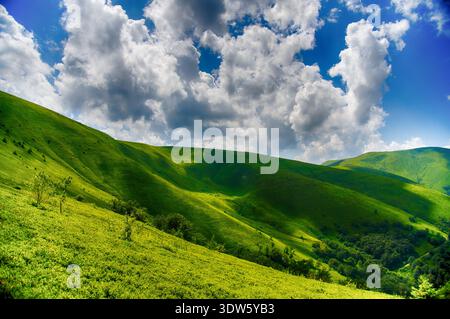 View of sun-drenched rolling hills blanketed in vibrant green grasses beneath a sky alive with fluffy white clouds, Pylypets', Zakarpattia Oblast, Ukr Stock Photo