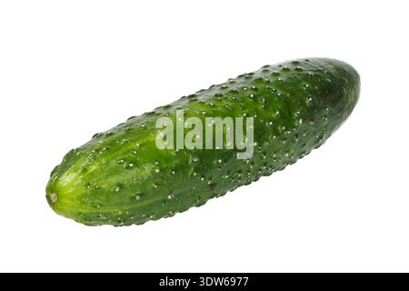 Cucumber isolated on white background Stock Photo