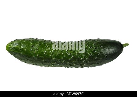 Cucumber isolated on white background Stock Photo