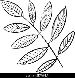 Herb branch. Natural organic botany doodle icon Stock Vector