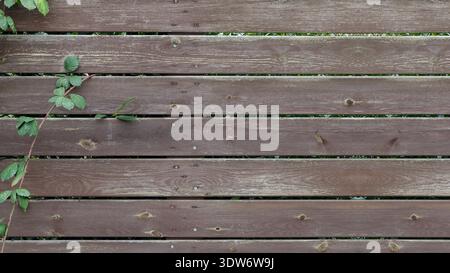 Old pale brown wooden fence. Rustic background Stock Photo