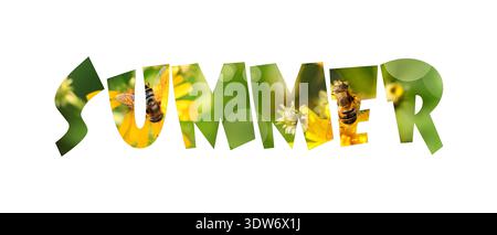 Summer background with word from photo of bees on flowers.  Word Summer isolated on white background.  illustration Stock Photo