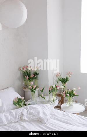Multiple pink tulip bouquets in glass vases arranged around white bed in soft daylight. Fresh spring flowers creating airy minimalist bedroom Stock Photo
