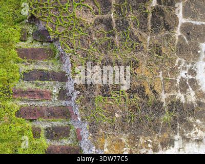 An old brick walls that are cracked, covered in moss, and even peeling off so that the bricks are visible Stock Photo