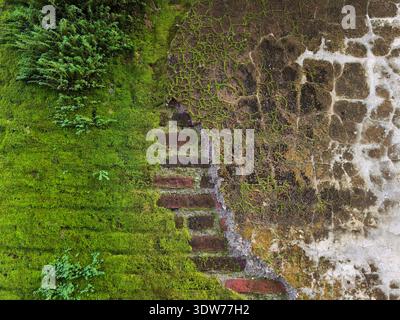 An old brick walls that are cracked, covered in moss, and even peeling off so that the bricks are visible Stock Photo