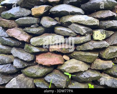 Random piles of river stones in various shapes with small plant Stock Photo