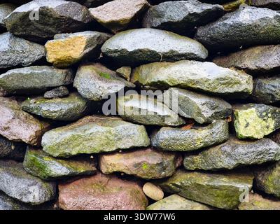 Natural arrangement of river stones with irregular shapes and some covered in moss Stock Photo