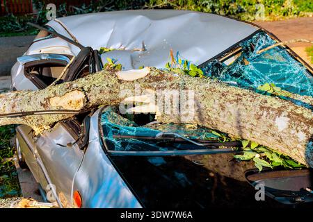 Large tree branch has fallen on parked car, causing damage to roof, windows after storm passed through. Stock Photo