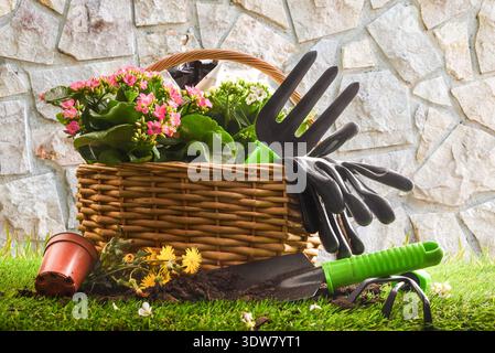 Basket with flowering plants, gloves, shovel, and rake on grass near a stone wall. Bright natural light highlights gardening and outdoor home activity Stock Photo