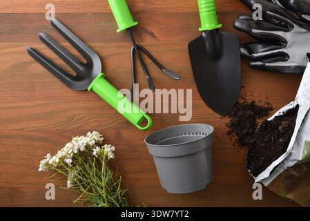 Top view of gardening tools with green handles, gloves, flower plant, soil bag and empty pot on wooden table. Home gardening and spring planting conce Stock Photo