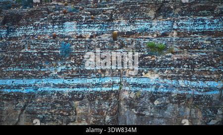 Layered Rock Face with Blue Mineral Streaks and Desert Plants Close Up Stock Photo