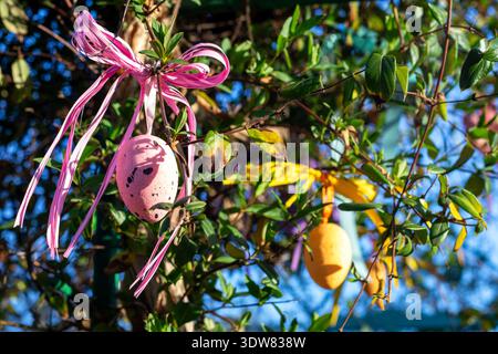 Pink Easter egg decoration with ribbon hanging on leafy tree branches in spring sunlight Stock Photo