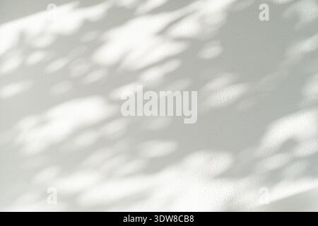 Sunlight shines through leaves outside and creates shadows on a white wall. The scene shows the interplay of light and shadow during midday. There are Stock Photo