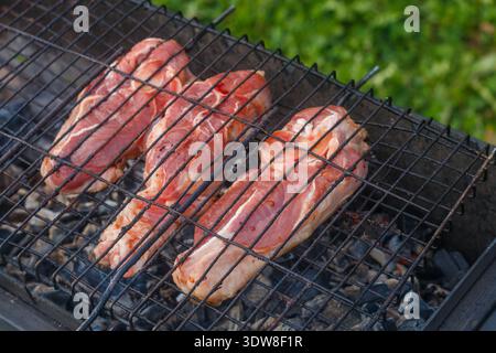 Fresh raw meat in a marinade on a charcoal grill. Barbecue. Picnic. Selective focus Stock Photo