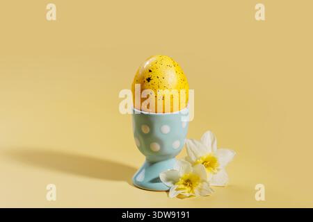 Speckled yellow egg in cup with spring flowers and copy space Stock Photo
