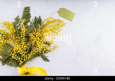 Mimosa bouquet with a blank gift tag on a light background Stock Photo