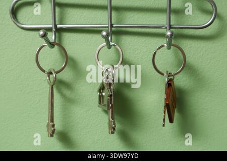 Rack with keys from house on green wall, closeup Stock Photo