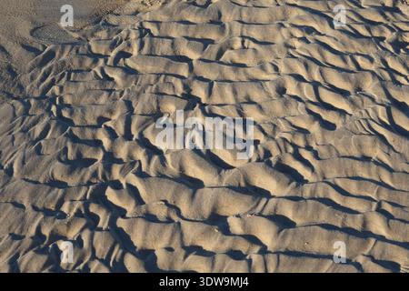 Wind-shaped sand ripples on beach at Caloundra, Queensland, Australia. Stock Photo