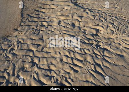 Wind-shaped sand ripples on beach at Caloundra, Queensland, Australia. Stock Photo