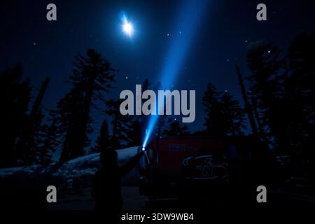 A person is holding a flashlight in the dark woods. The sky is clear and the moon is shining brightly Stock Photo