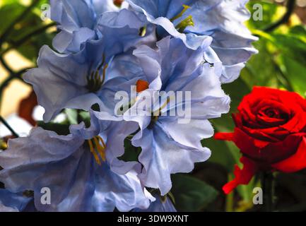 A beautiful blue artificial flower Stock Photo