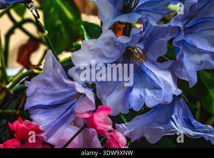 A beautiful blue artificial flower Stock Photo
