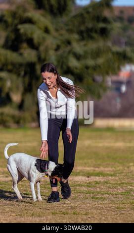 Smiling young woman playing with her dog who is looking at her feet in a sunny park. Stock Photo
