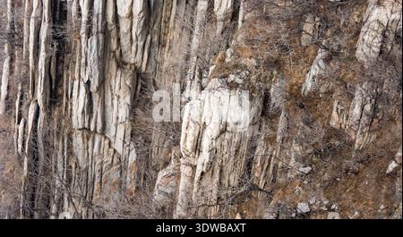 Vertical stratified rock cliff face with rugged stone textures and sparse leafless shrubs, natural wilderness landscape background, earthy gray and br Stock Photo