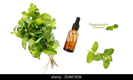 Peppermint essential oil glass bottle,  aromatic herbs bunch and twigs flying isolated on white background. Aromatherapy, homeopathy and spa concept Stock Photo