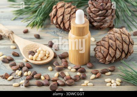 Cedar essential oil bottle, whole and shelled nuts on bamboo spoon, pine cones and green needle branches on wooden table. Cedar nuts products for nutr Stock Photo