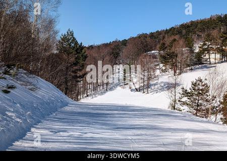 Winter landscape showing snowy ski slope and woods in Nagano, Japan Stock Photo