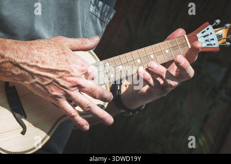 Close-up of a senior man’s hands playing a wooden ukulele outdoors in natural sunlight, highlighting texture, detail, and musical passion Stock Photo