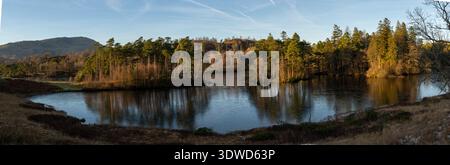 Panoramic view of Tarn Hows with golden light reflecting on water amongst autumn woodland Stock Photo