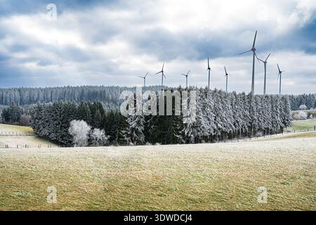 A frosted evergreen forest rises from a gently rolling meadow under overcast skies, with wind turbines along the ridge creating a quiet winter mood an Stock Photo